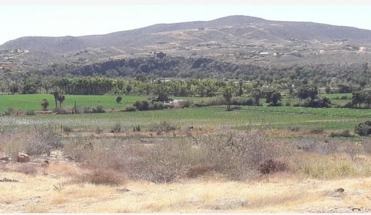 Picture of Residential Land For Sale in La Paz, Baja California Sur, Mexico