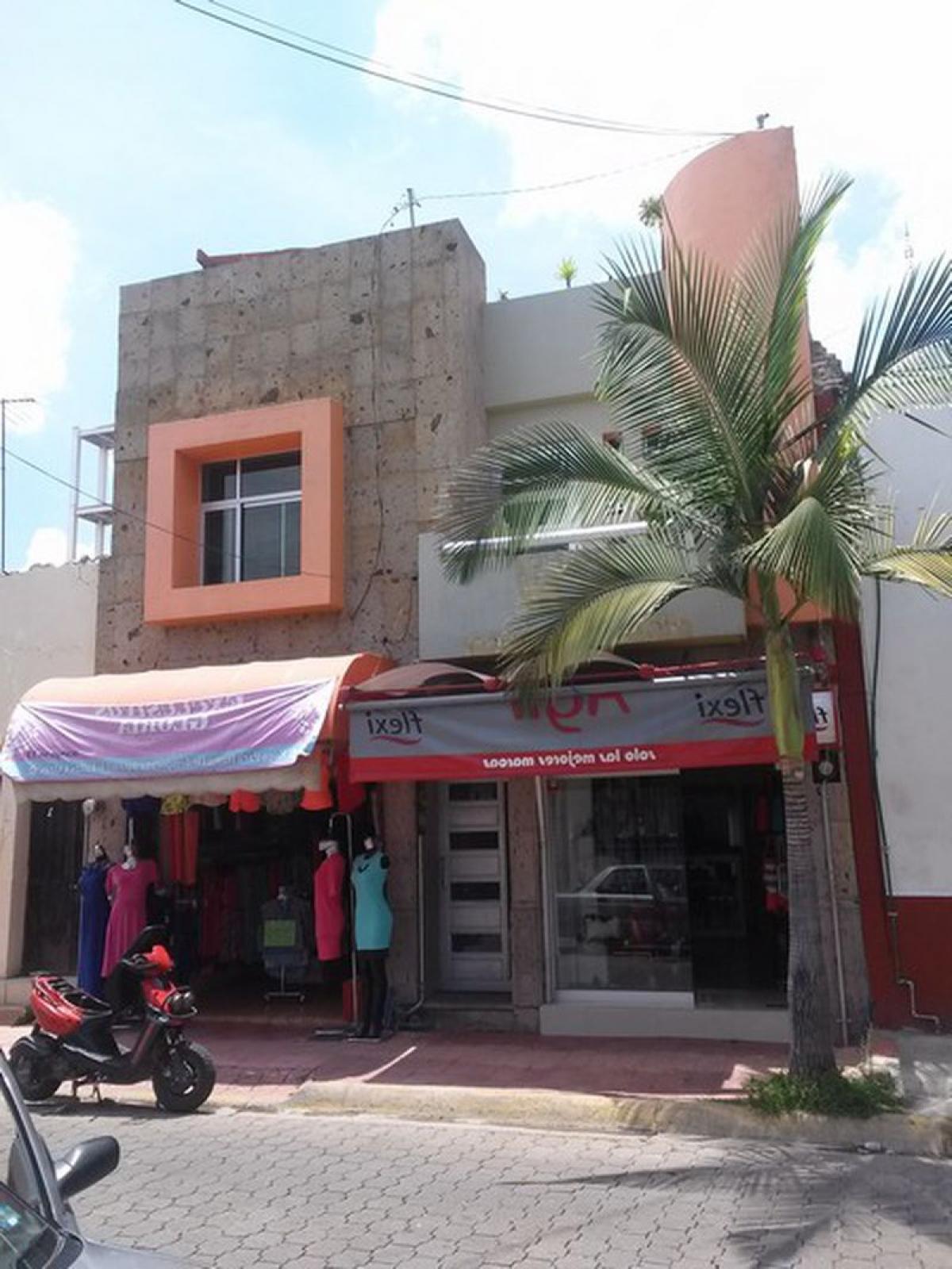 Picture of Other Commercial For Sale in Zapotlanejo, Jalisco, Mexico