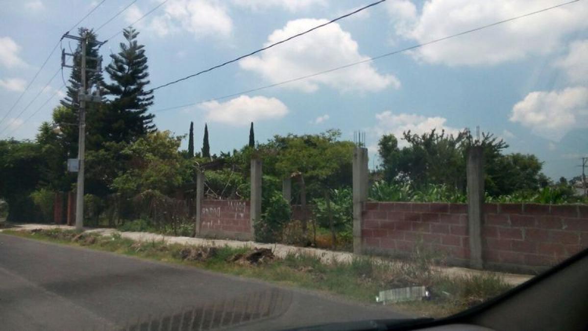Picture of Residential Land For Sale in Yecapixtla, Morelos, Mexico