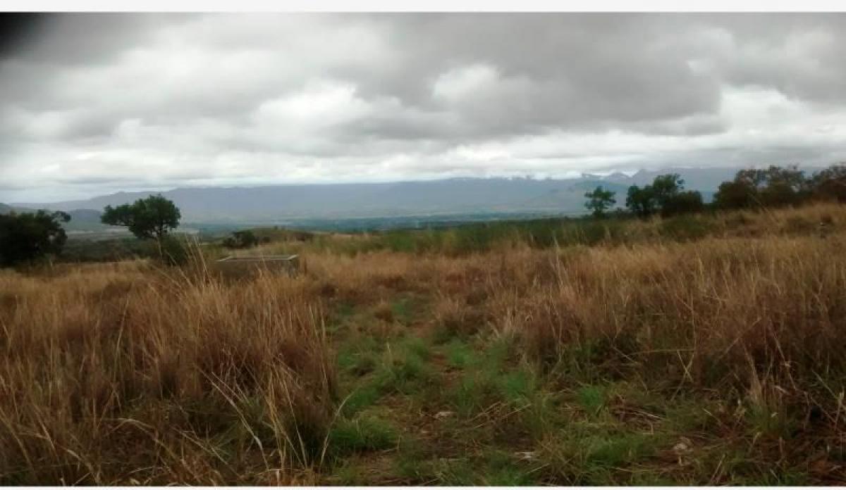 Picture of Residential Land For Sale in Escuintla, Chiapas, Mexico