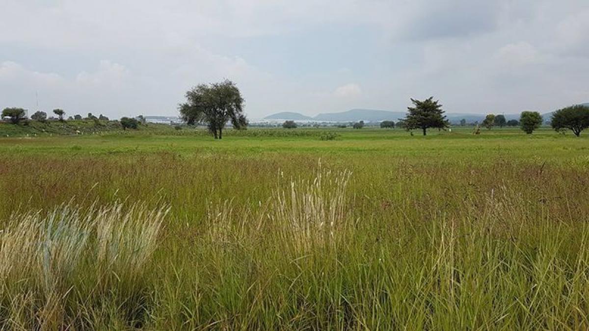 Picture of Residential Land For Sale in El Marques, Queretaro, Mexico