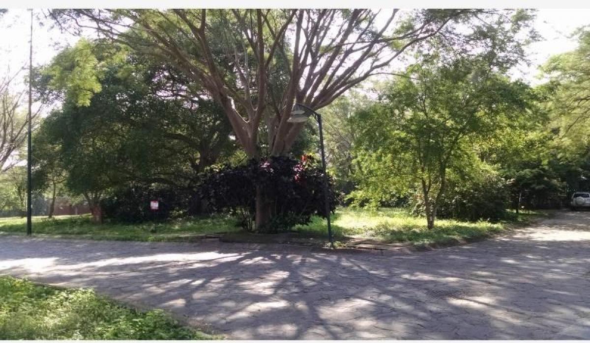 Picture of Residential Land For Sale in Colima, Colima, Mexico