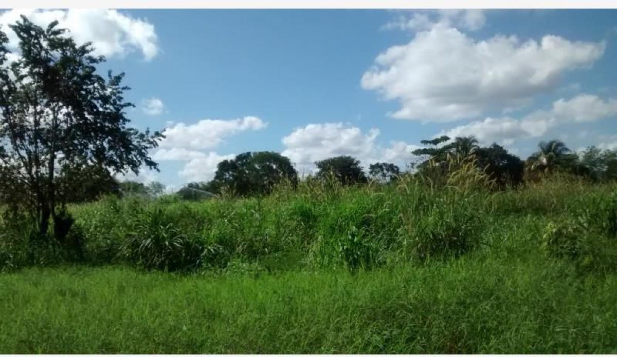 Picture of Home For Sale in Cansahcab, Yucatan, Mexico