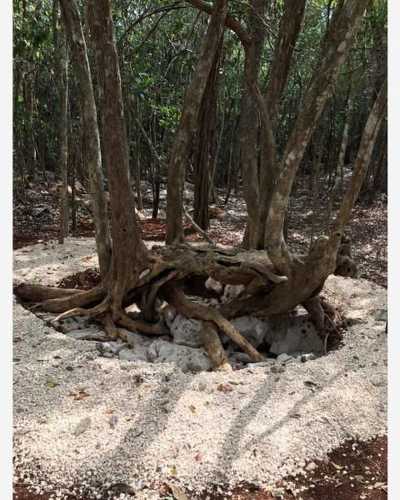 Residential Land For Sale in 