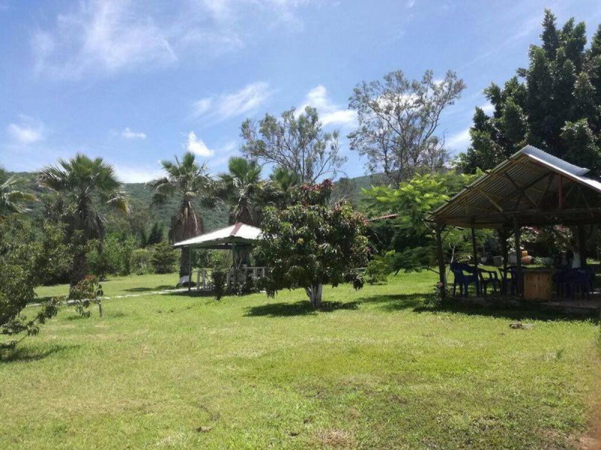 Picture of Development Site For Sale in Jiquipilas, Chiapas, Mexico