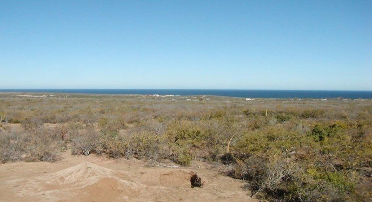 La Paz, Baja California Sur, Baja California Sur, Mexico Residential