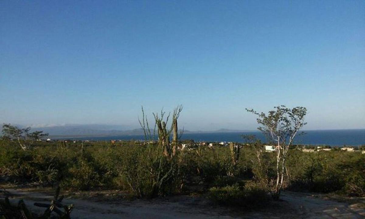 La Paz, Baja California Sur, Baja California Sur, Mexico Residential Land For Sale at GLOBAL