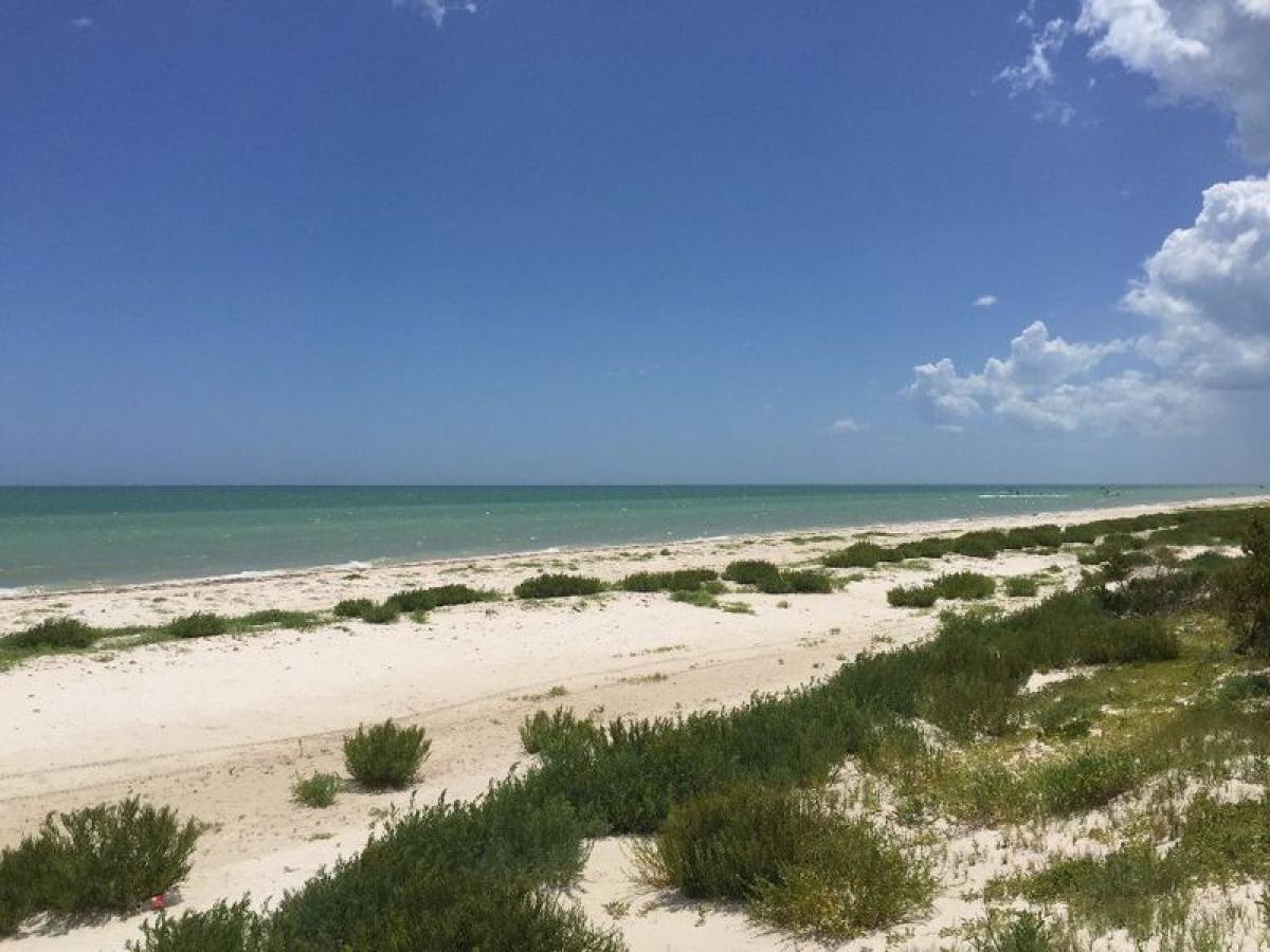 Picture of Residential Land For Sale in Telchac Puerto, Yucatan, Mexico