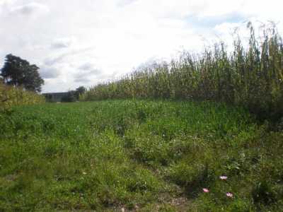 Residential Land For Sale in Puebla, Mexico