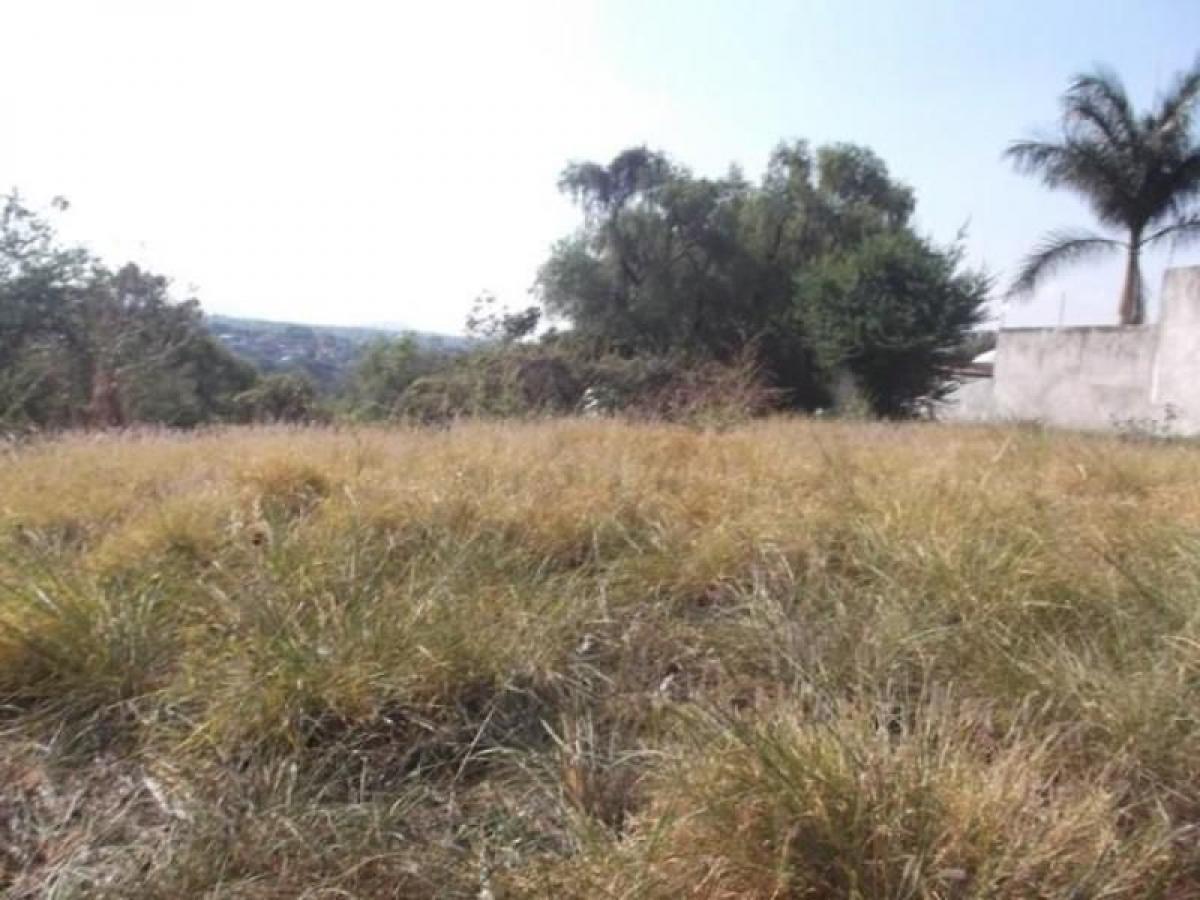 Picture of Residential Land For Sale in Temixco, Morelos, Mexico