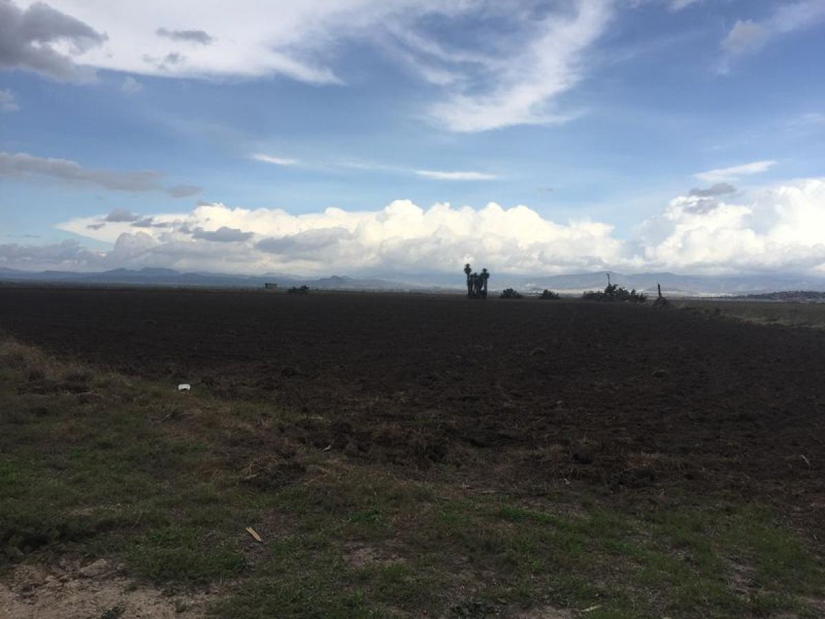 Picture of Residential Land For Sale in Zapotlan De Juarez, Hidalgo, Mexico