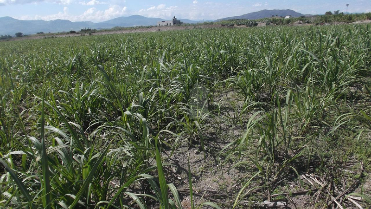 Picture of Residential Land For Sale in Xalisco, Nayarit, Mexico