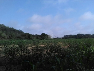 Residential Land For Sale in Acaponeta, Mexico