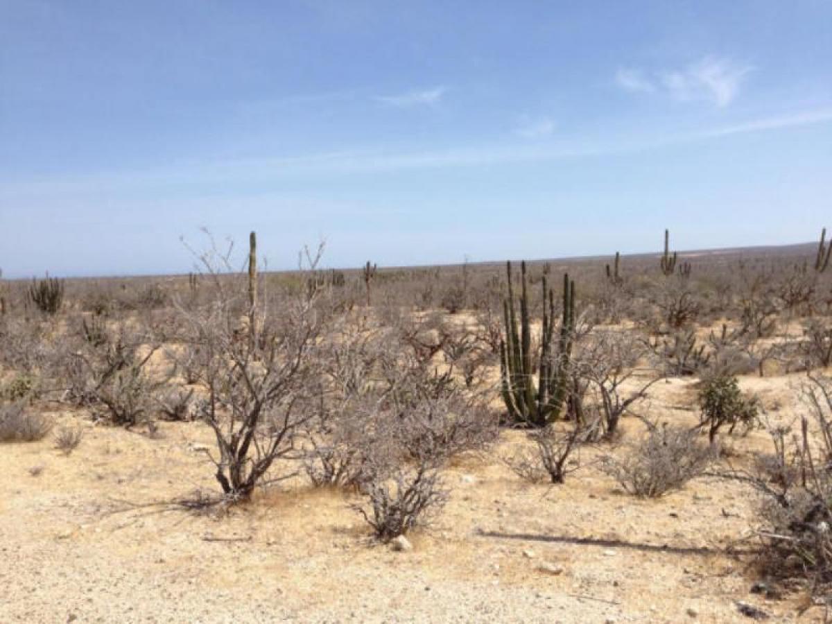 Picture of Residential Land For Sale in La Paz, Baja California Sur, Mexico