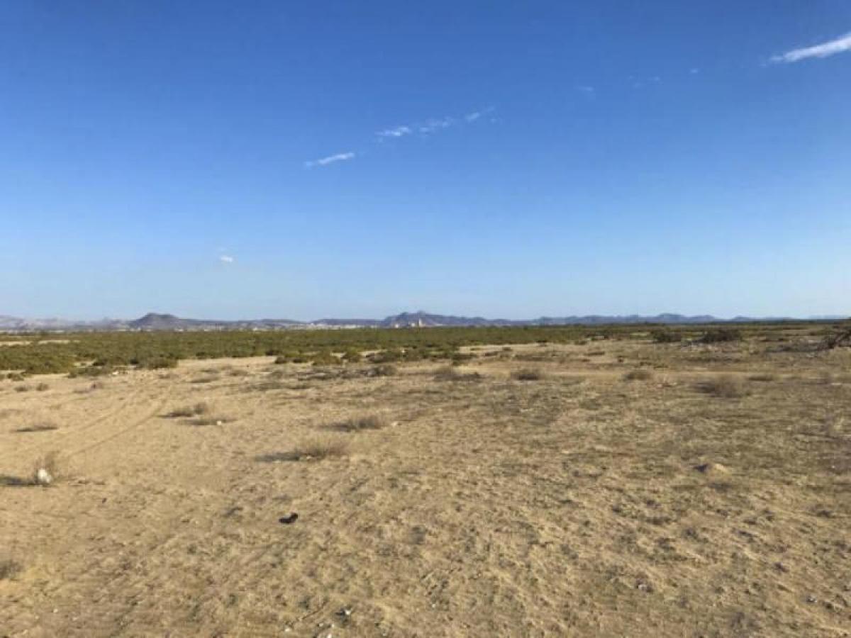 Picture of Residential Land For Sale in La Paz, Baja California Sur, Mexico