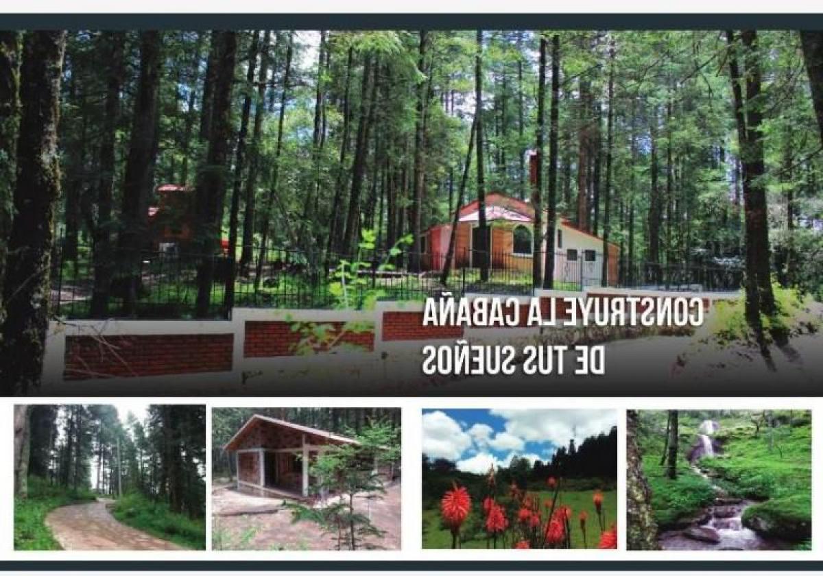 Picture of Residential Land For Sale in Hidalgo, Hidalgo, Mexico