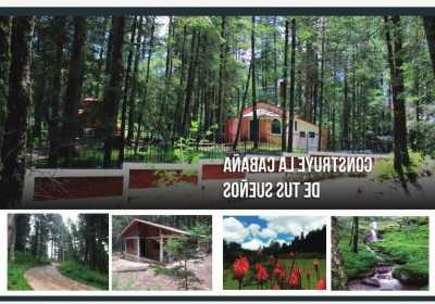 Residential Land For Sale in Hidalgo, Mexico