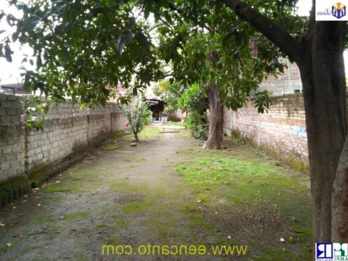 Picture of Residential Land For Sale in Nayarit, Nayarit, Mexico