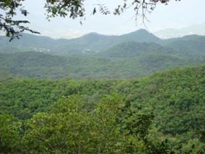 Other Commercial For Sale in Santiago, Mexico