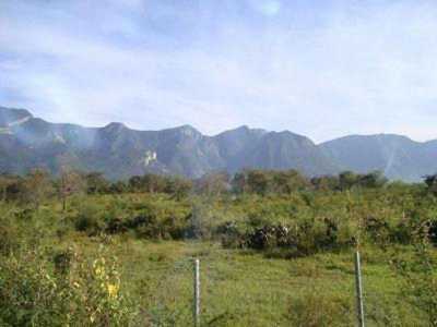 Other Commercial For Sale in Santiago, Mexico