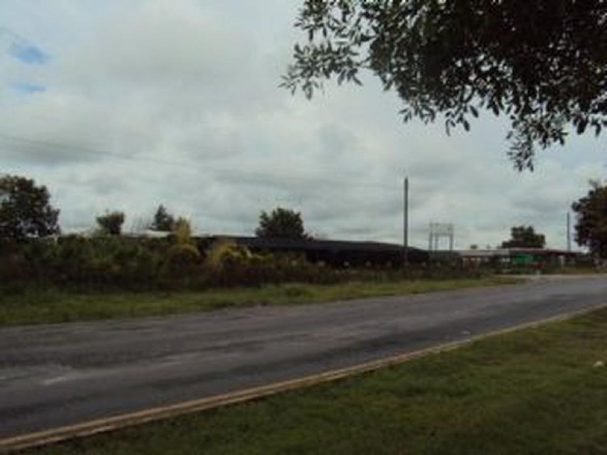 Picture of Other Commercial For Sale in Montemorelos, Nuevo Leon, Mexico