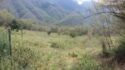 Other Commercial For Sale in Santiago, Mexico