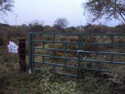 Other Commercial For Sale in Santiago, Mexico