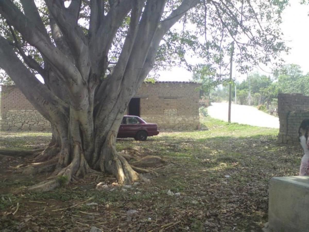 Picture of Residential Land For Sale in Villa De Etla, Oaxaca, Mexico