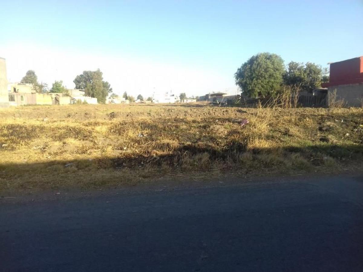 Picture of Residential Land For Sale in San Miguel Xoxtla, Puebla, Mexico