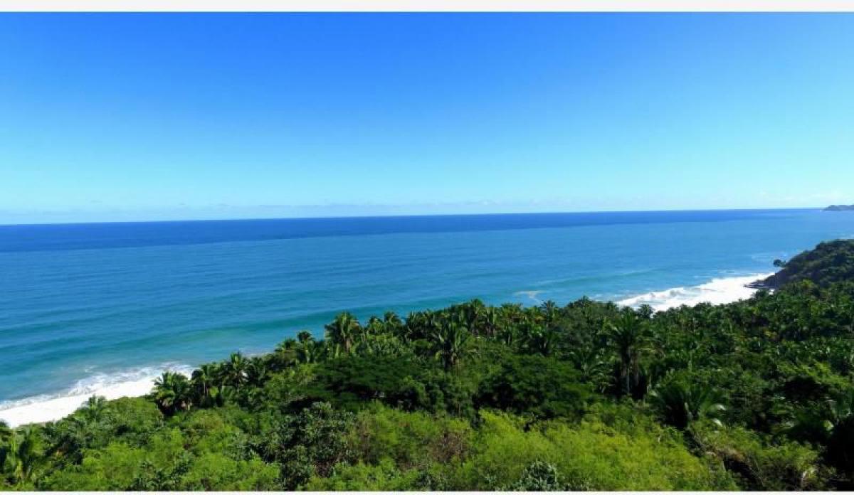 Picture of Residential Land For Sale in Bahia De Banderas, Nayarit, Mexico