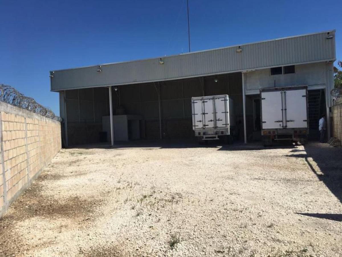 Picture of Other Commercial For Sale in Campeche, Campeche, Mexico