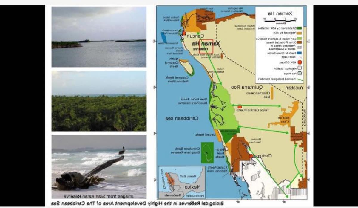 Solidaridad, Quintana Roo, Quintana Roo, Mexico Residential Land For