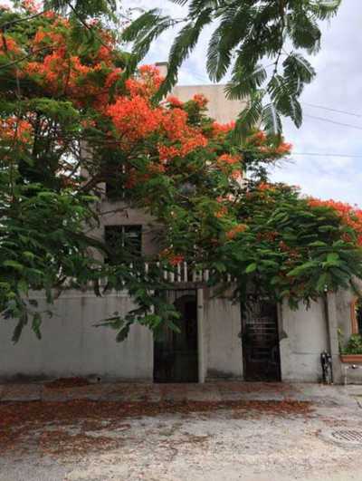 Apartment Building For Sale in Benito Juarez, Mexico