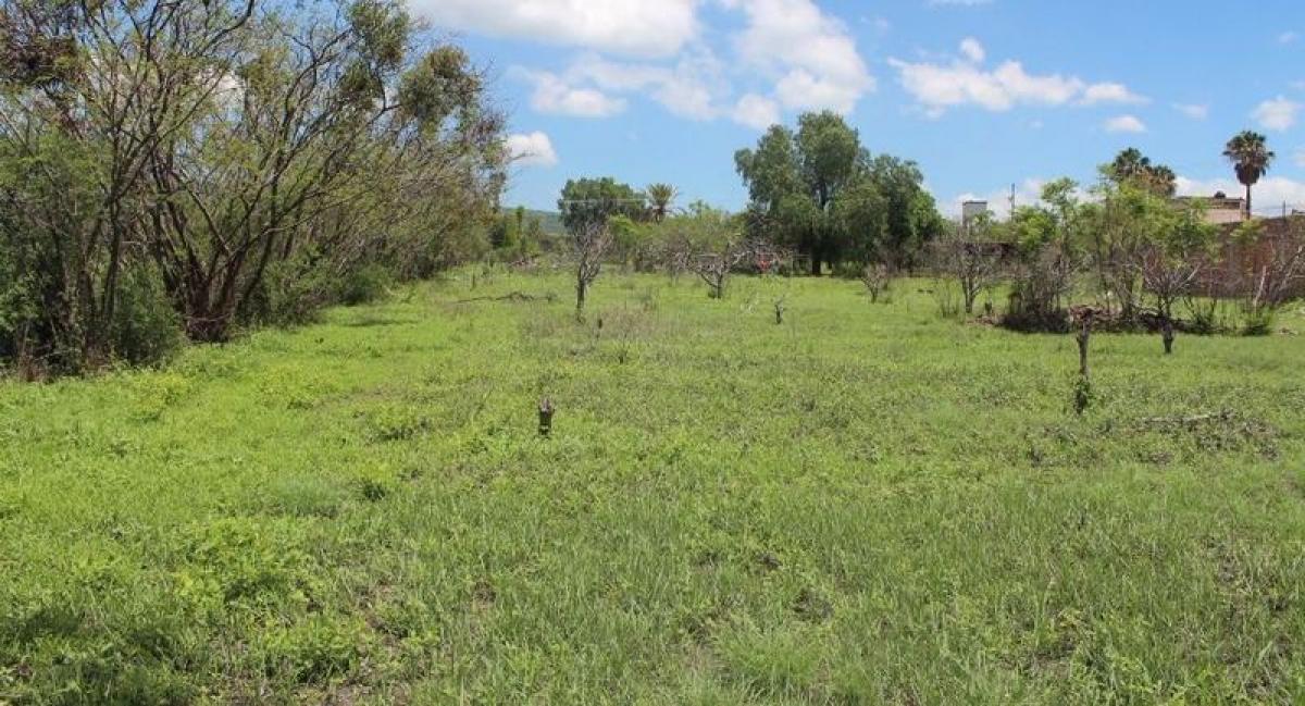 Celaya, Celaya, Guanajuato, Mexico Homes For Sale at GLOBAL LISTINGS