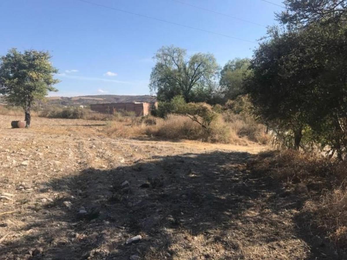 Picture of Residential Land For Sale in Calvillo, Aguascalientes, Mexico