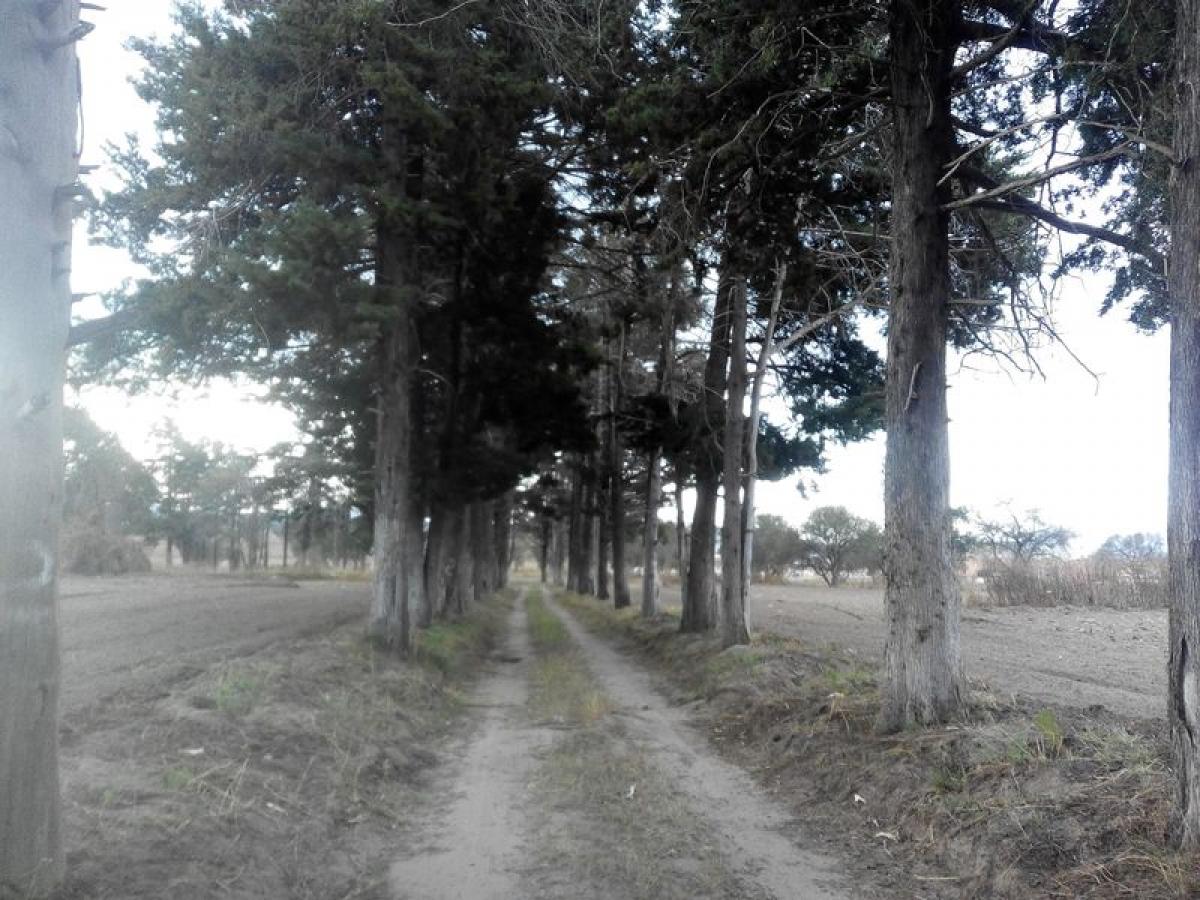 Picture of Residential Land For Sale in Rafael Lara Grajales, Puebla, Mexico