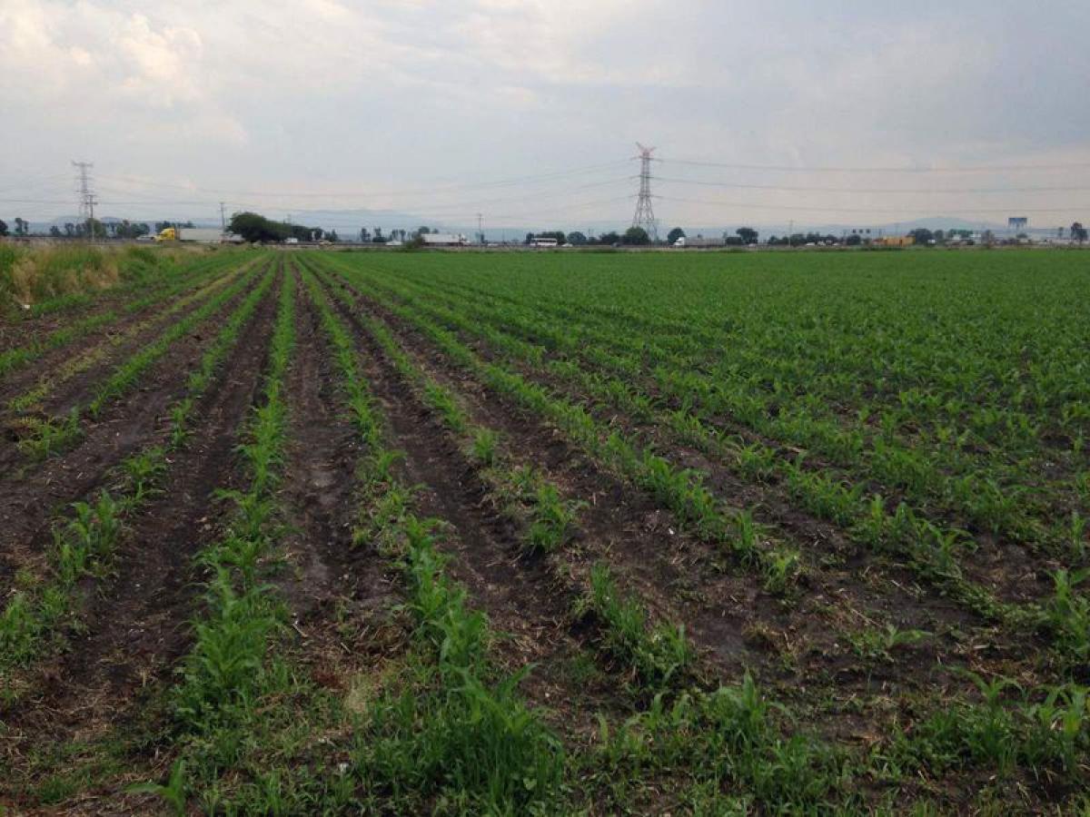 Picture of Residential Land For Sale in El Marques, Queretaro, Mexico