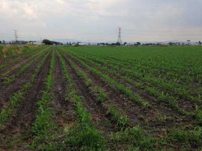 Residential Land For Sale in El Marques, Mexico