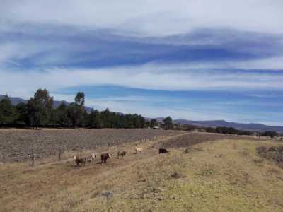 Residential Land For Sale in Amealco De Bonfil, Mexico