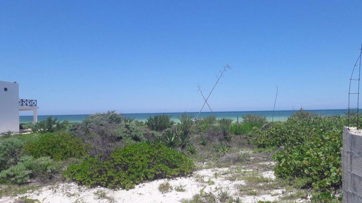 Picture of Home For Sale in Telchac Puerto, Yucatan, Mexico