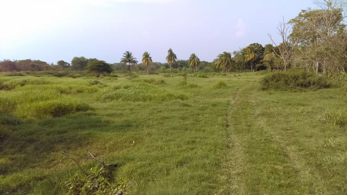 Picture of Residential Land For Sale in Centro, Tabasco, Mexico