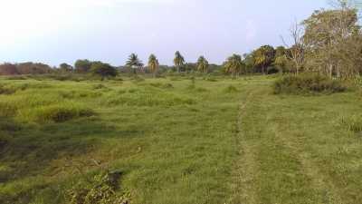 Residential Land For Sale in Centro, Mexico