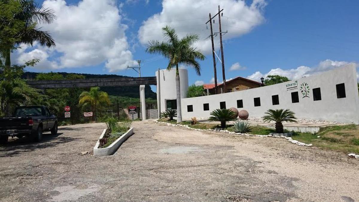 Picture of Other Commercial For Sale in Suchiapa, Chiapas, Mexico