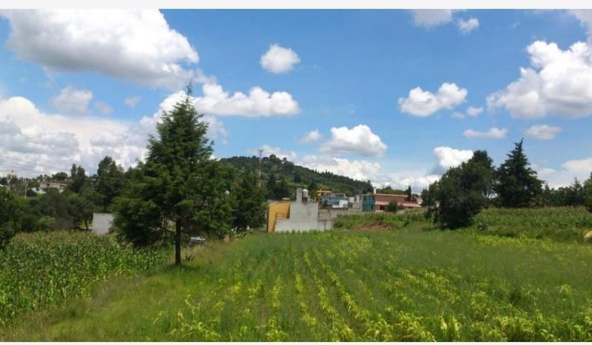 Picture of Home For Sale in Tzompantepec, Tlaxcala, Mexico