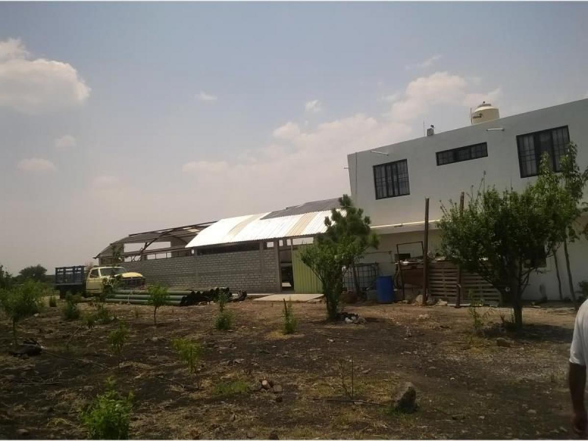 Picture of Home For Sale in Tequisquiapan, Queretaro, Mexico