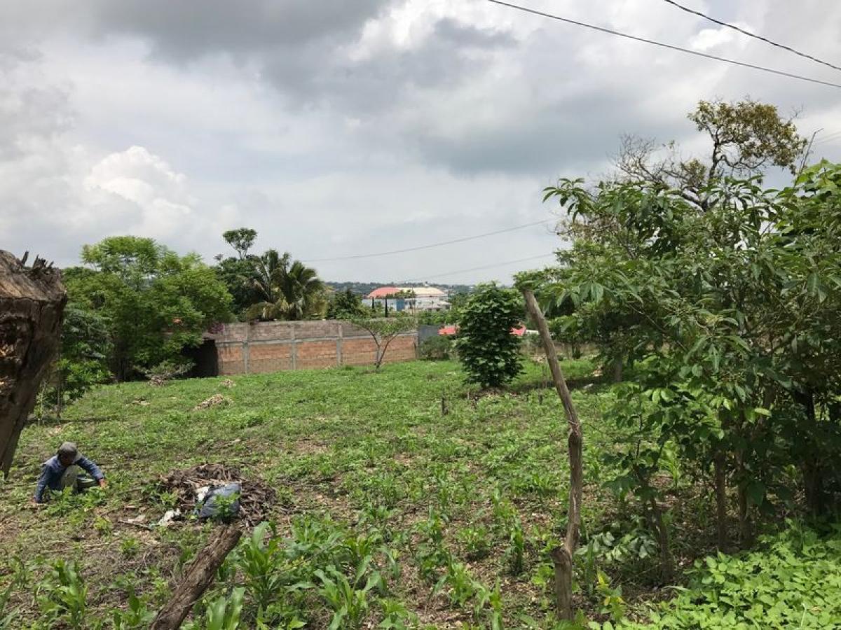 Picture of Other Commercial For Sale in Berriozabal, Chiapas, Mexico