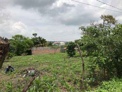 Other Commercial For Sale in Berriozabal, Mexico