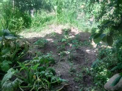 Residential Land For Sale in Leon, Mexico
