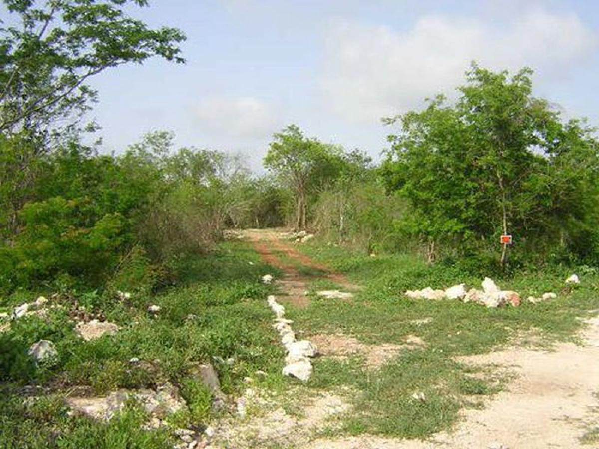 Picture of Residential Land For Sale in Acanceh, Yucatan, Mexico