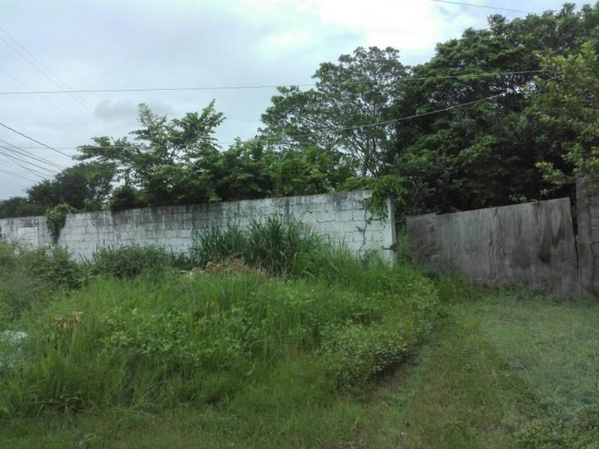 Picture of Residential Land For Sale in Tijuana, Baja California, Mexico